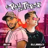 About O Pau Vai Torar Dj Jarley Remix Song