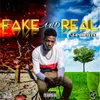 About Fake and Real Song