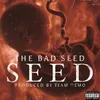 About Seed Song