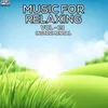 About Music for Relaxing, Vol. 19 Song