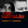 About Tek Hayalim Song