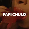About Papi Chulo Song