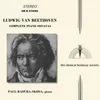 About Piano Sonata No. 30 in E Major, Op. 109: II. Prestissimo Song