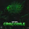 About Crocodile Song