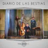 About Diario de las Bestias Song