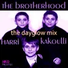 The Brotherhood The Dayglo Mix