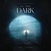 About IN the Dark Song