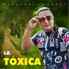 About La Tóxica Song