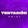 About Tentación Song