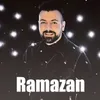 About Şansına Küs Song