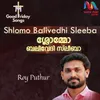 About Shlomo Balivedhi Sleeba Song