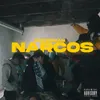 About Narcos Song