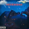 About Necesidad Song