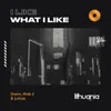 About I Like What I Like Song