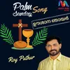 About Palm Sunday Song