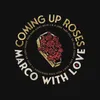 About Coming up Roses Song