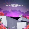 In the Night Sevek Remix