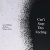 About Can't Stop This Feeling Song