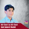 Dil Chari Aa Dil Chari