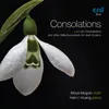 About Consolations S.172/R12: No. 5. Andantino in E Major (Arr. for violin and piano by Maya Magub) Song