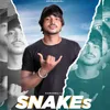 About Snakes Song