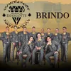 About Brindo Song