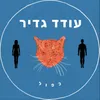 About כפול Song