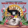 Want You to Know Lucius Lowe Remix