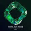 About Whataya Want from Me Extended Mix Song
