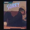 About Sorry Song