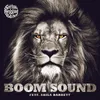 About Boom Sound Song