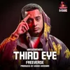 About Third Eye Freeverse (Red Bull 64 Bars) Song