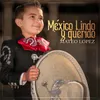 About México Lindo y Querido Song