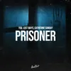 About Prisoner Song