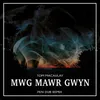 Mwg Mawr Gwyn Pen Dub Remix Instrumental