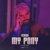 About My Pony (Kryder Remix) Song