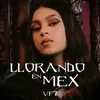 About Llorando en Mex Song