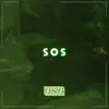 About SOS Song