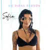 About No Pidas Perdón Song