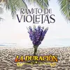 About Ramito de Violetas Song