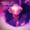 About Ashes of Love Song