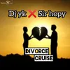 About Divorce Cruise Song