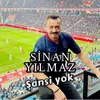 Şansi Yok