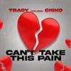 About Can't Take This Pain Song