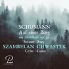 About Liederkreis, Op. 39: VII. Auf einer Burg (Arr. for cello & guitar by Jerzy Chwastyk) Song