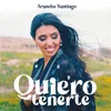 About Quiero Tenerte Song