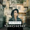 About Sanıyorlar Song