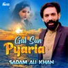 About Gal Sun Pyaria Song