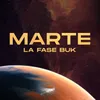 About Marte Song