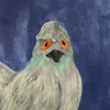 About Pigeon Song